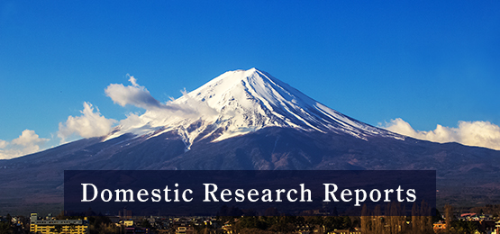 Domestic Research Reports