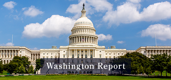 Washington Report